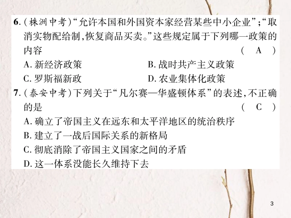 九年级历史下册 第一、二单元达标测试卷作业课件 岳麓版_第3页