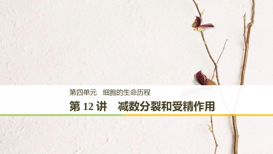 高考生物大一轮复习 第四单元 细胞的生命历程 第12讲 减数分裂和受精作用课件(1)_第1页