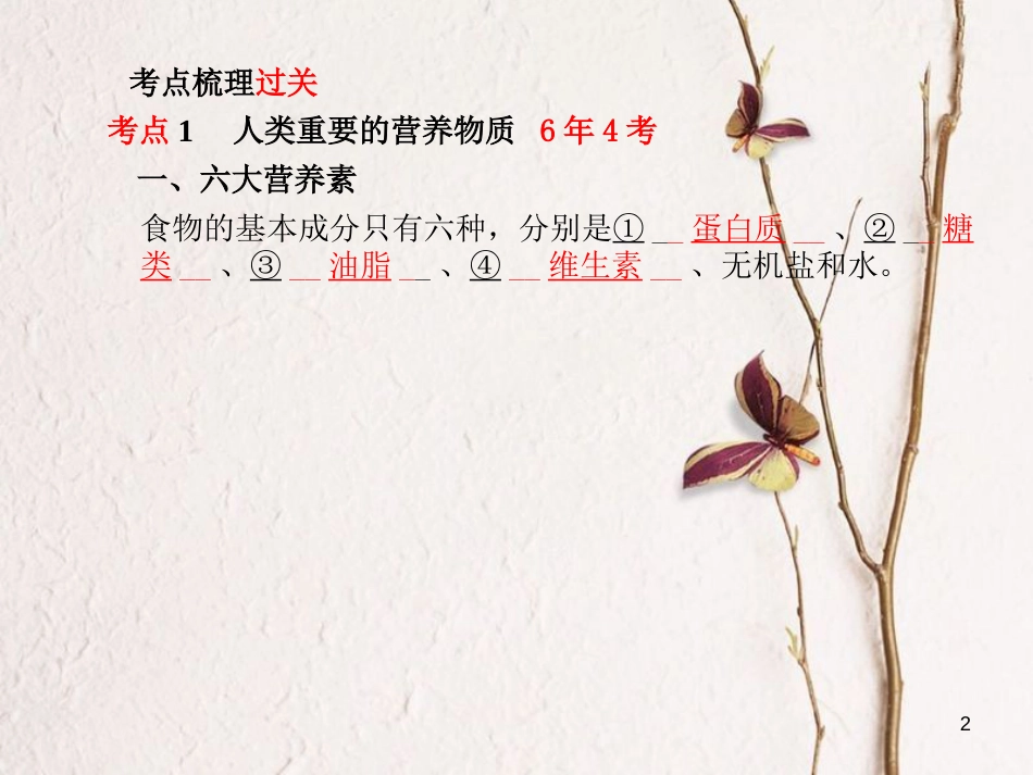 安徽省中考化学复习 第十二单元 化学与生活课件(1)_第2页