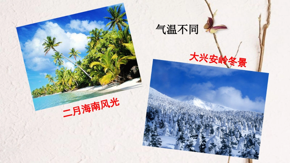 七年级地理上册 第三章 第四节 世界的气候（第1课时）课件 （新版）新人教版(1)_第3页