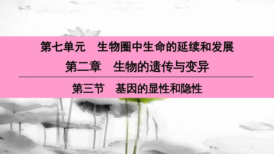 （深圳专用）八年级生物下册 第七单元 第二章 第三节 基因的显性和隐性课件 （新版）新人教版(1)_第1页