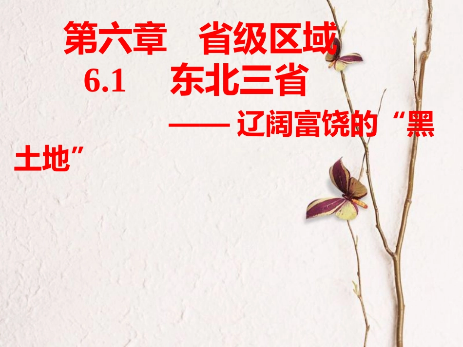 山西省太原市八年级地理下册 6.1东北三省—辽阔富饶的黑土地课件 晋教版_第1页