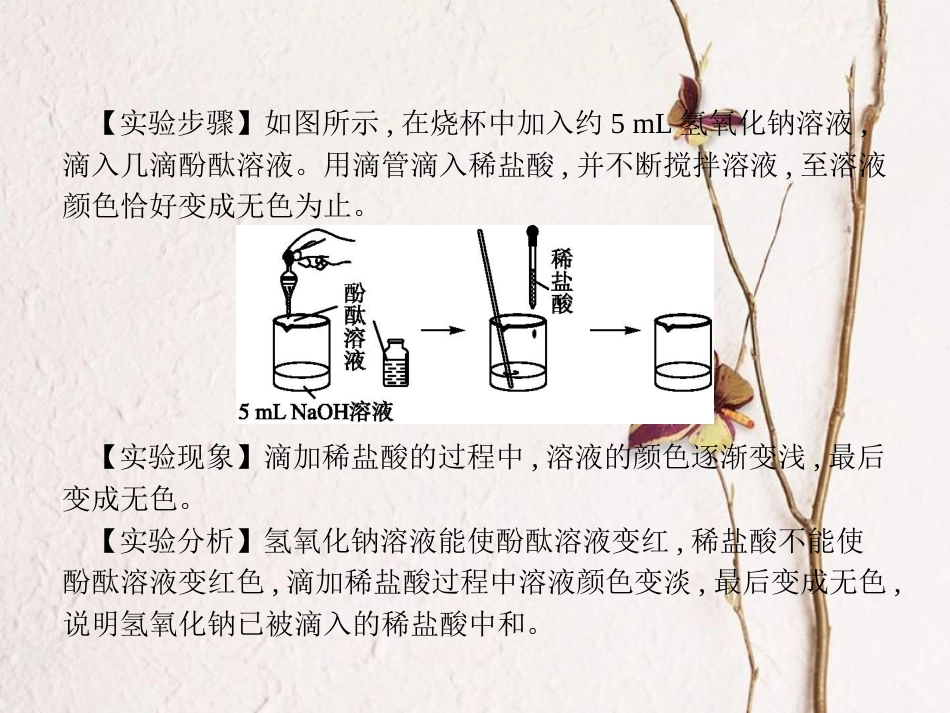 （安徽专版）中考化学总复习 实验10.2 酸和碱的中和反应课件_第2页