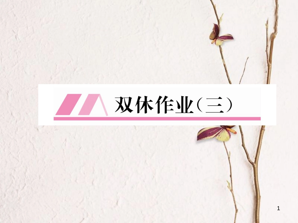 九年级数学下册 双休作业（三）作业课件 （新版）华东师大版_第1页