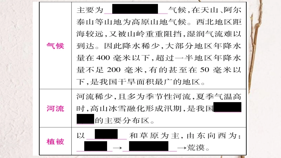 （人教版通用）中考地理总复习 八下 第8章 西北地区课件_第3页