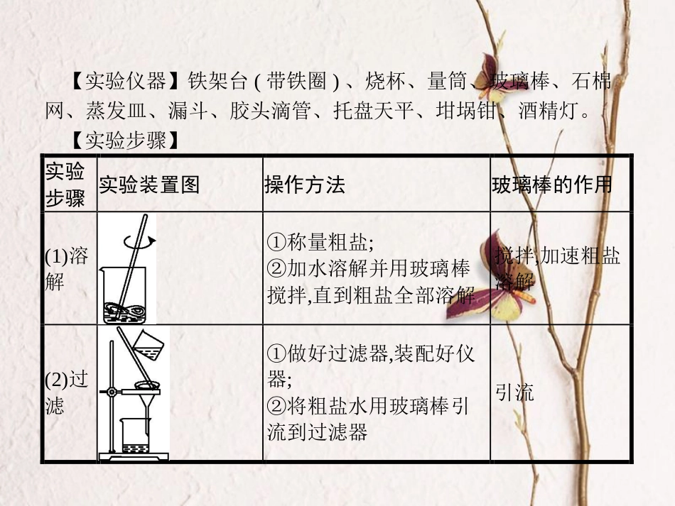 （安徽专版）中考化学总复习 实验11 粗盐中难溶性杂质的去除课件_第2页