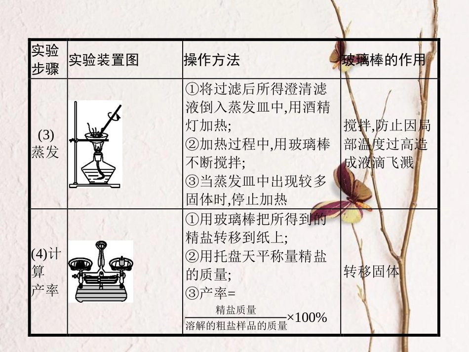 （安徽专版）中考化学总复习 实验11 粗盐中难溶性杂质的去除课件_第3页