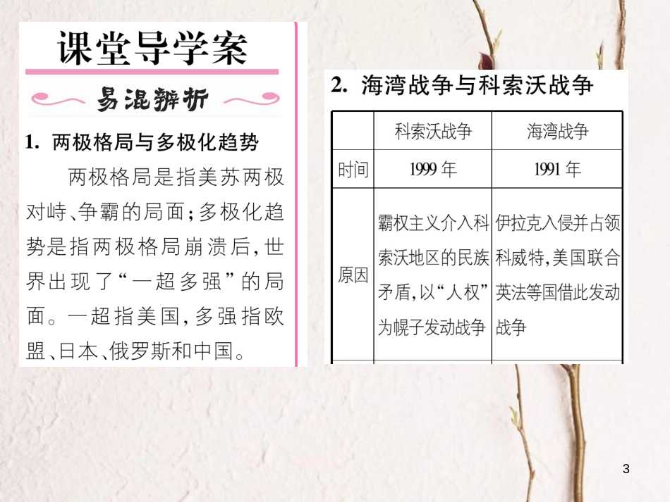 九年级历史下册 第七单元 战后世界格局的演变 第18课 世界政治格局的多极化趋势作业课件 岳麓版_第3页