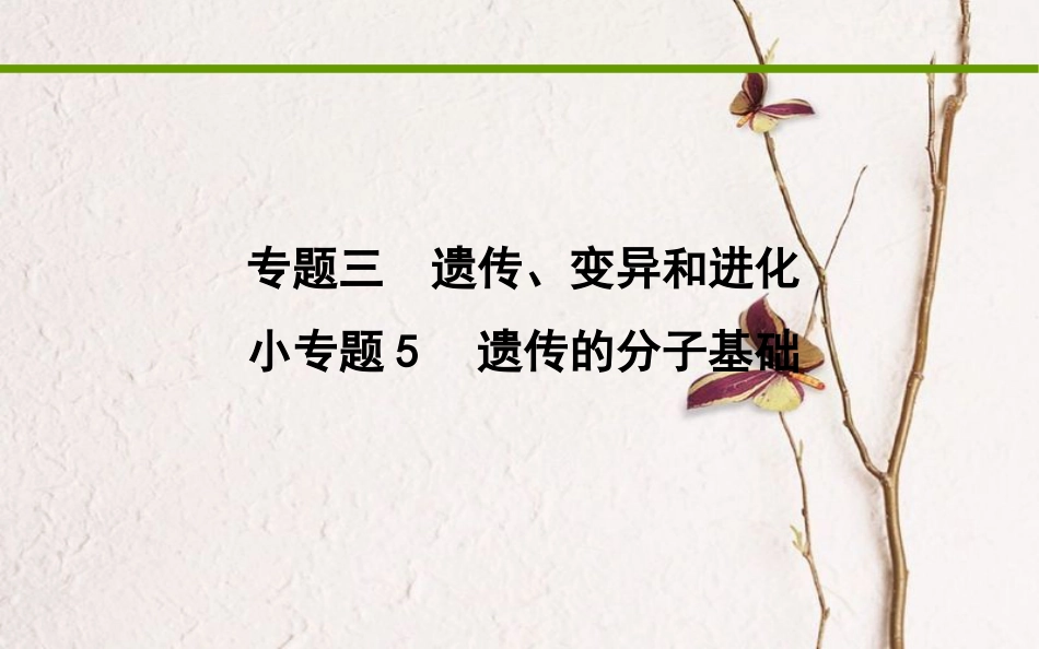 高考生物二轮复习 小专题5 遗传的分子基础课件_第1页