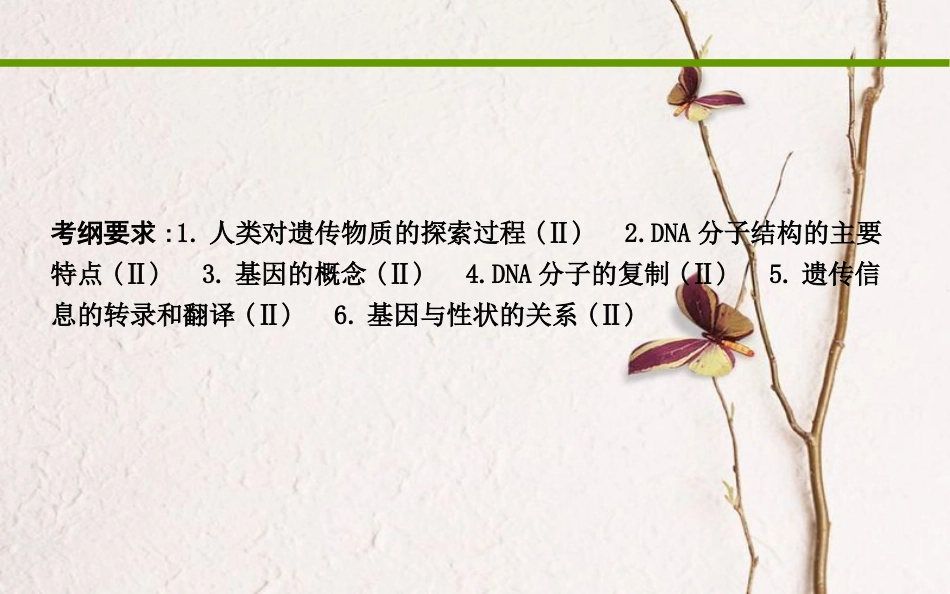 高考生物二轮复习 小专题5 遗传的分子基础课件_第2页