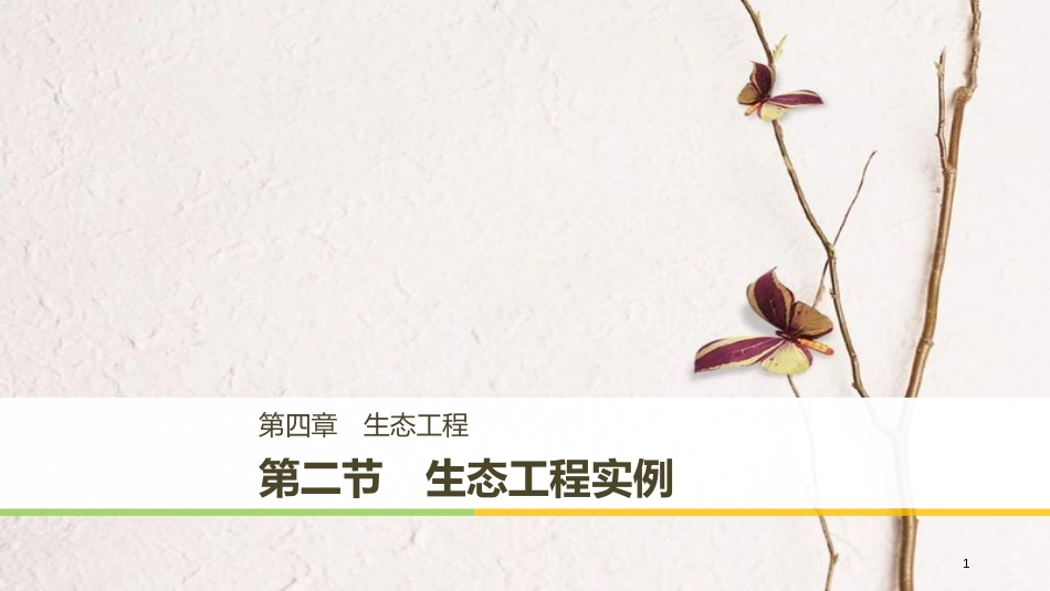 高中生物 第四章 生态工程 4.2 生态工程实例课件 苏教版选修3_第1页