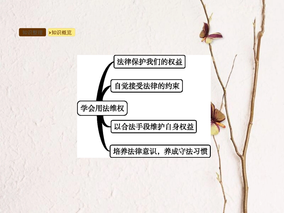 七年级道德与法治下册 第3单元 生活离不开规则 第9课 法律与我们的生活 第2框 学会用法维权课件 北师大版_第3页