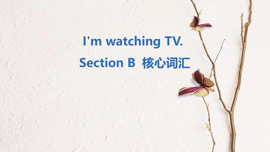 七年级英语下册 Unit 6 I’m watching TV Section B核心词汇课件 （新版）人教新目标版_第1页