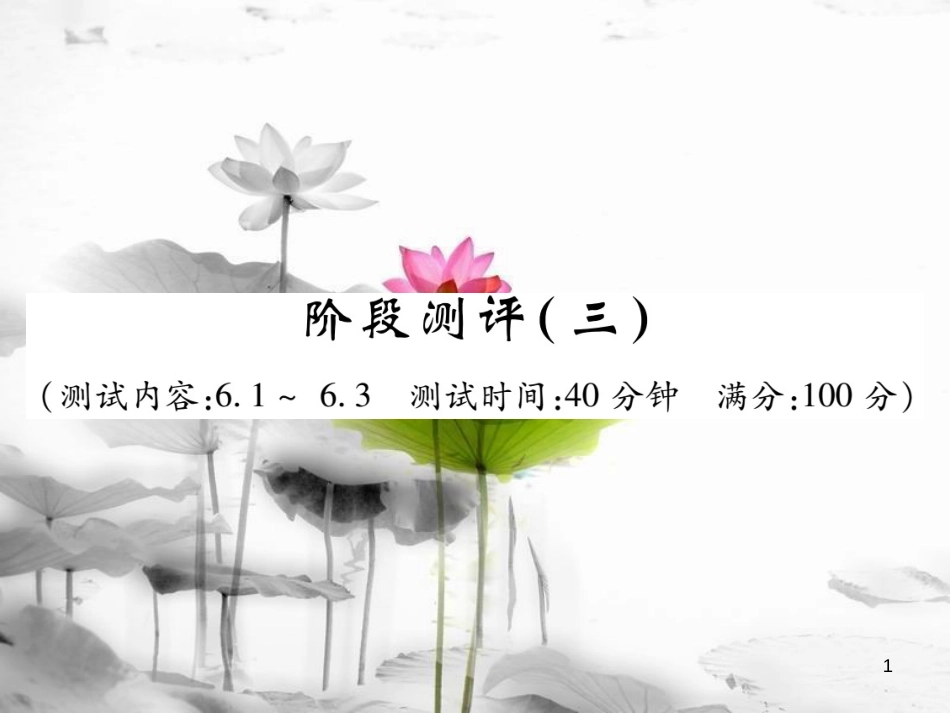 七年级数学下册 阶段测评三习题课件 （新版）新人教版_第1页