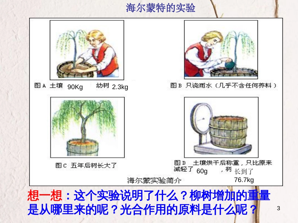 学年七年级生物上册 3.4.1 绿色植物的光合作用课件1 （新版）苏科版_第3页