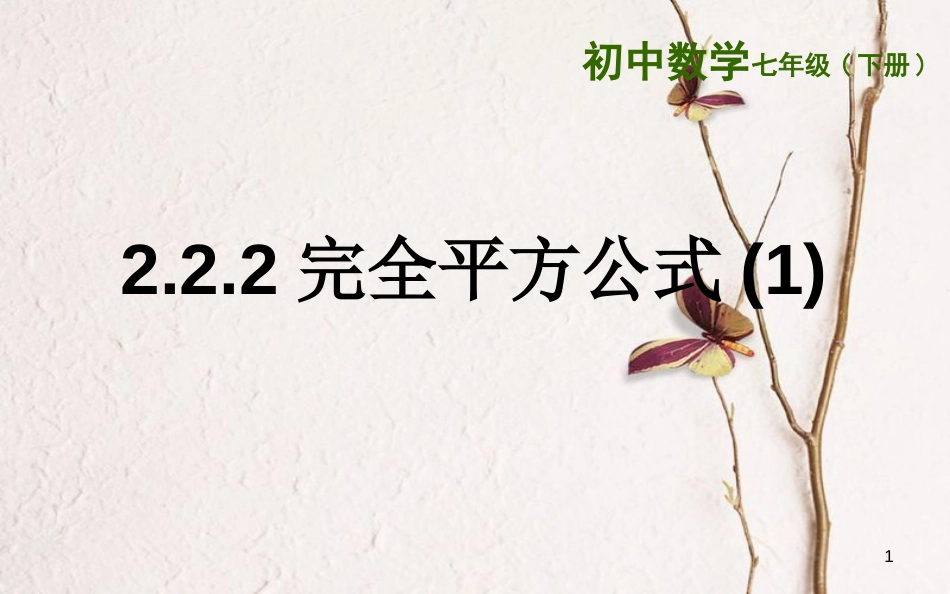 山东省东营市垦利区郝家镇七年级数学下册 2.2.2 完全平方公式(1)课件 （新版）湘教版_第1页