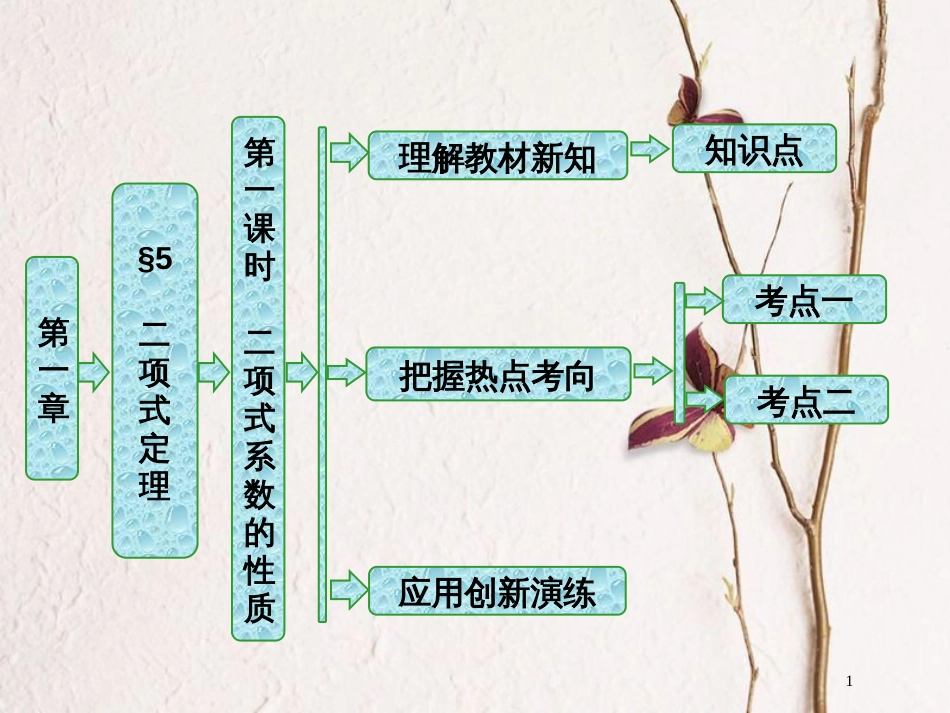 高中数学 第一章 计数原理 5 第二课时 二项式系数的性质课件 北师大版选修2-3_第1页