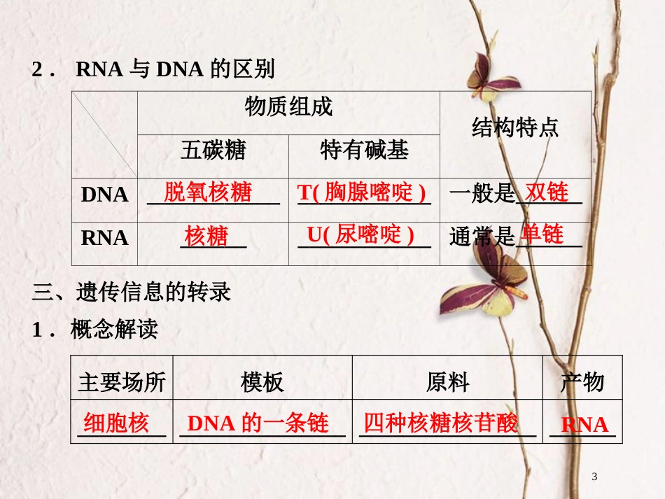 高中生物 第四章 遗传的分子基础 第14课时 从基因到蛋白质课件 苏教版必修2_第3页