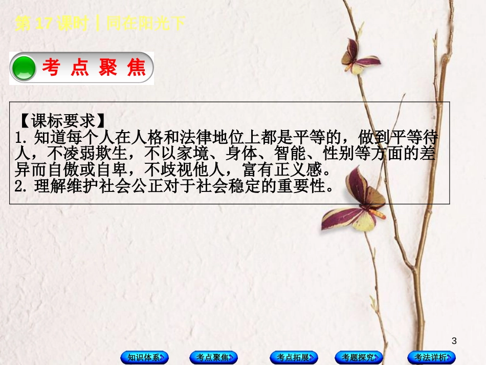 中考政治 第三部分 九年级 第17课时 同在阳光下复习课件 教科版_第3页