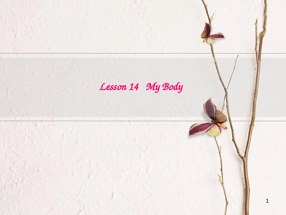 三年级英语上册 Unit 3 Body and Feelings unit 14 my body课件 冀教版（三起）_第1页