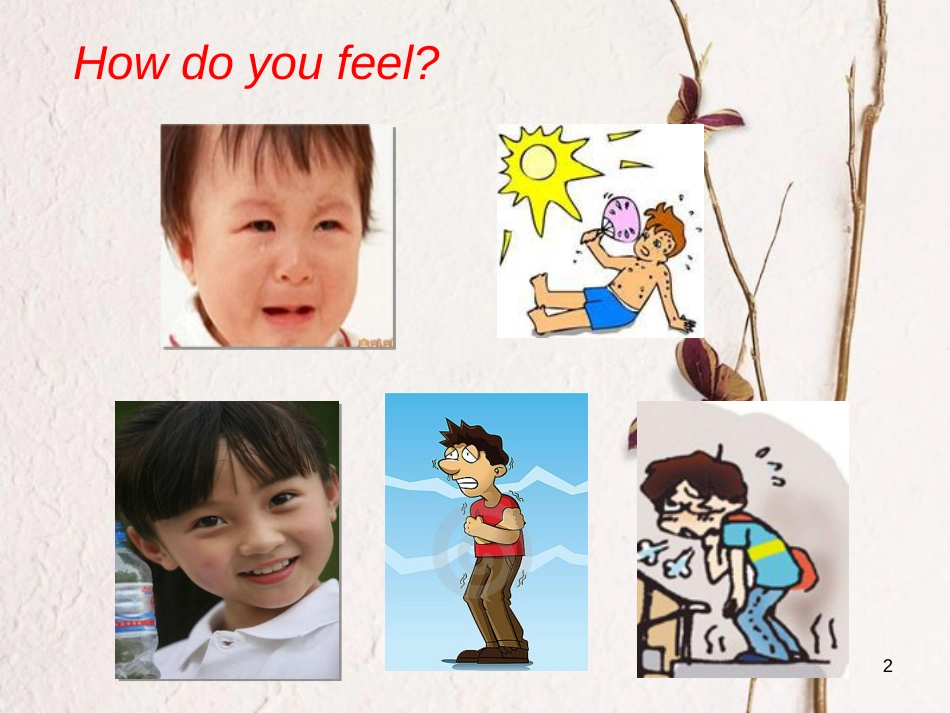 三年级英语上册 Unit 3 Body and Feelings unit 14 my body课件 冀教版（三起）_第2页