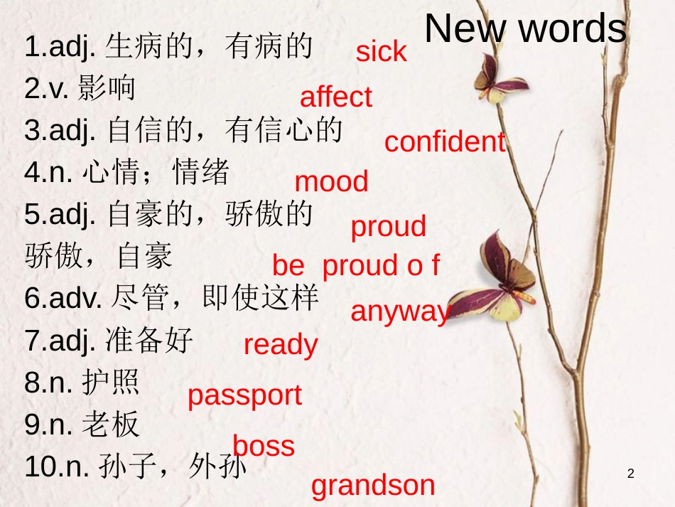 广东省清远市佛冈县龙山镇八年级英语下册 Unit 5 Feeling excited Topic 3 Many things can affect our feelings Section B课件 （新版）仁爱版_第2页