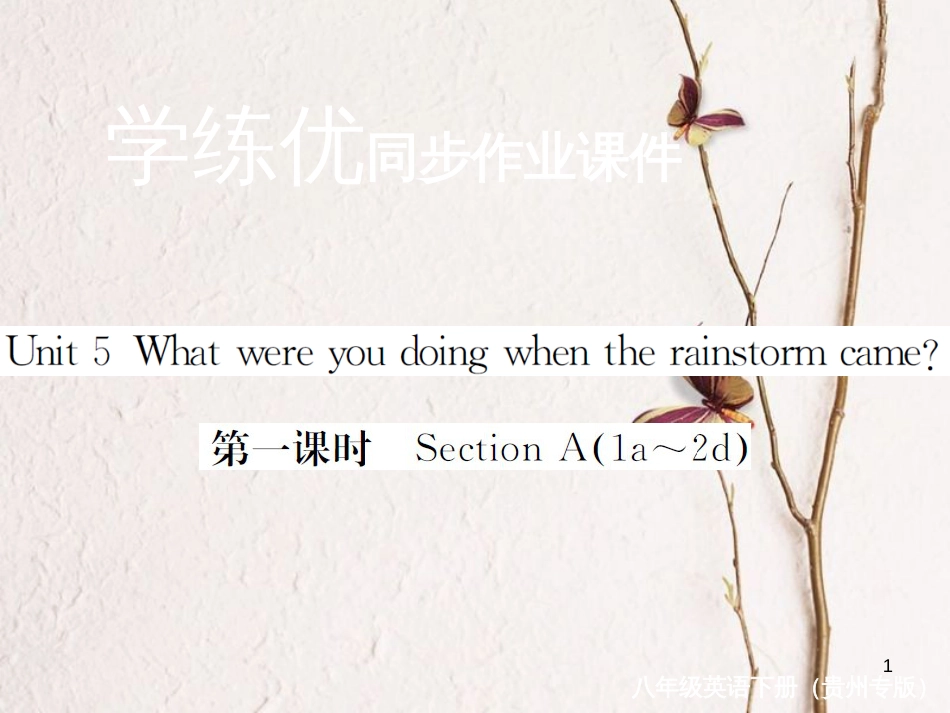 （贵州专版）八年级英语下册 Unit 5 What were you doing when the rainstorm came（第1课时）作业课件 （新版）人教新目标版_第1页