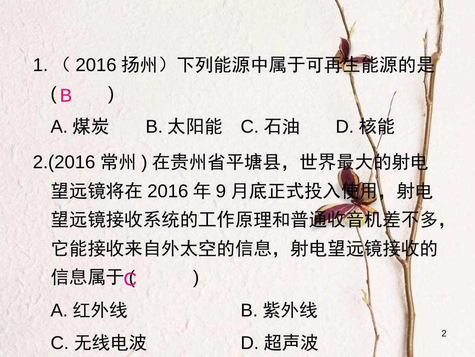 九年级物理全册 九年级（下）期末检测课件 （新版）新人教版_第2页