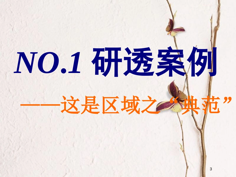 2019版高考地理大一轮复习 第三部分 第二章 区域可持续发展 第五讲 流域综合治理与开发——以田纳西河流域为例课件 湘教版(1)_第3页