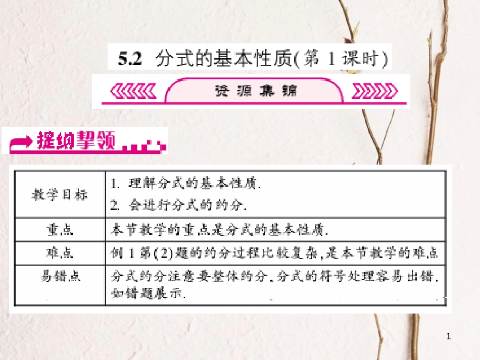 浙江省嘉兴市秀洲区七年级数学下册 第五章 分式 5.2 分式的基本性质（第1课时）习题课件 （新版）浙教版_第1页