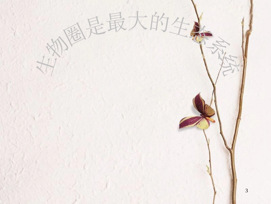 七年级生物上册 1.2.3 生物圈是最大的生态系统课件 （新版）新人教版_第3页