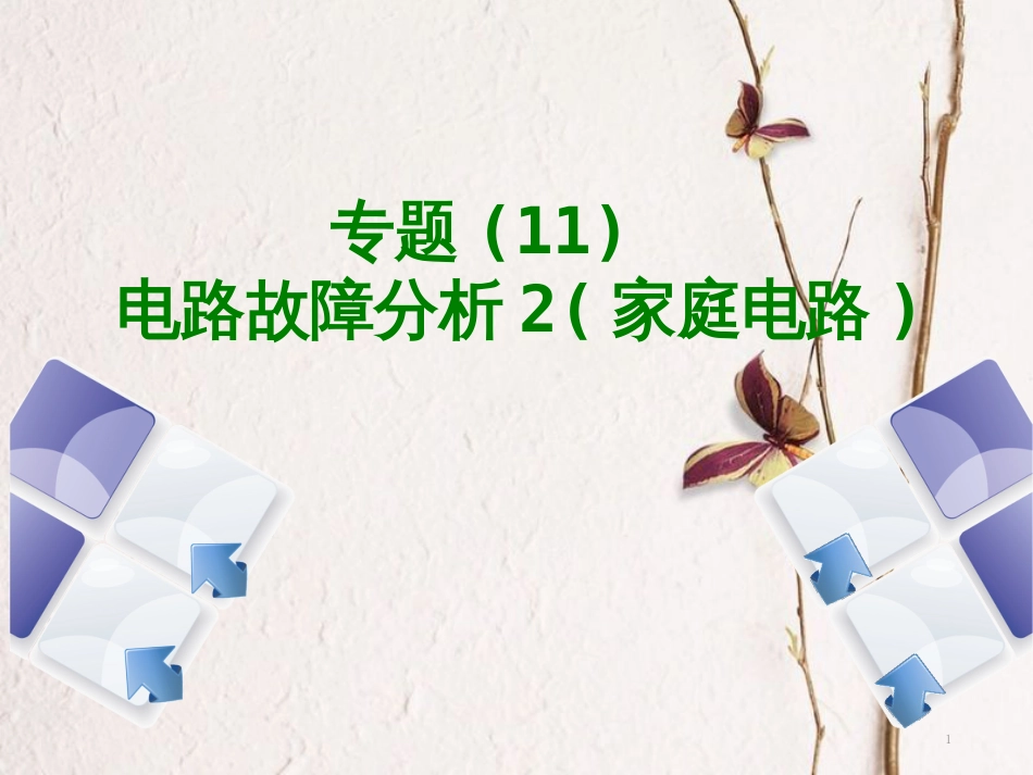 中考物理复习 第十一单元 电与磁 专题（11）电路故障分析2（家庭电路）课件_第1页