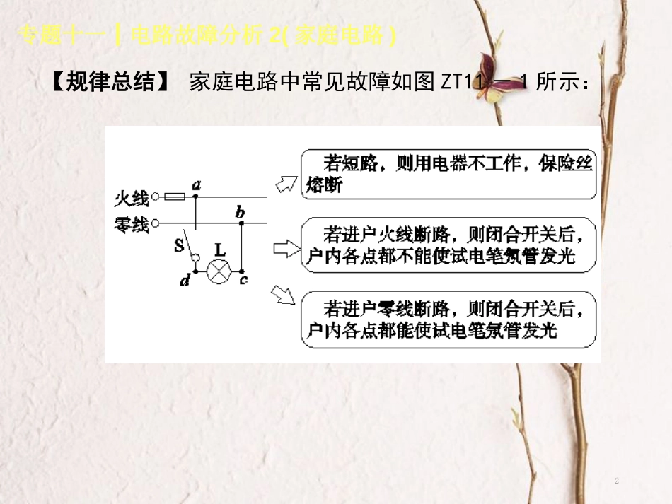 中考物理复习 第十一单元 电与磁 专题（11）电路故障分析2（家庭电路）课件_第2页