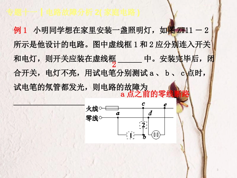 中考物理复习 第十一单元 电与磁 专题（11）电路故障分析2（家庭电路）课件_第3页