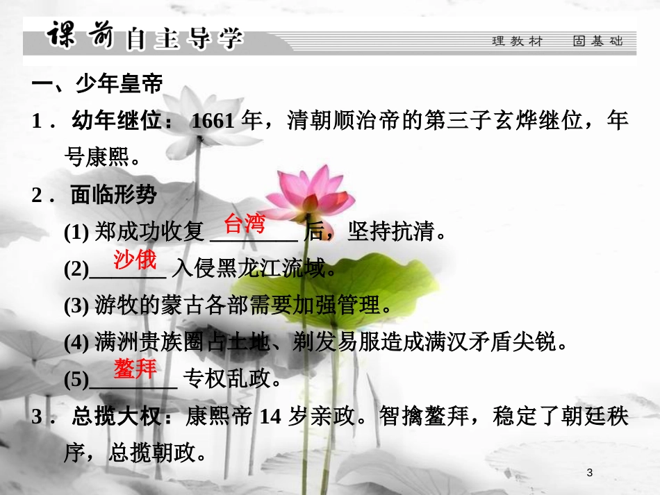 高中历史 第一单元 古代中国的政治家 第3课 统一多民族国家的捍卫者康熙帝课件 新人教版选修4_第3页