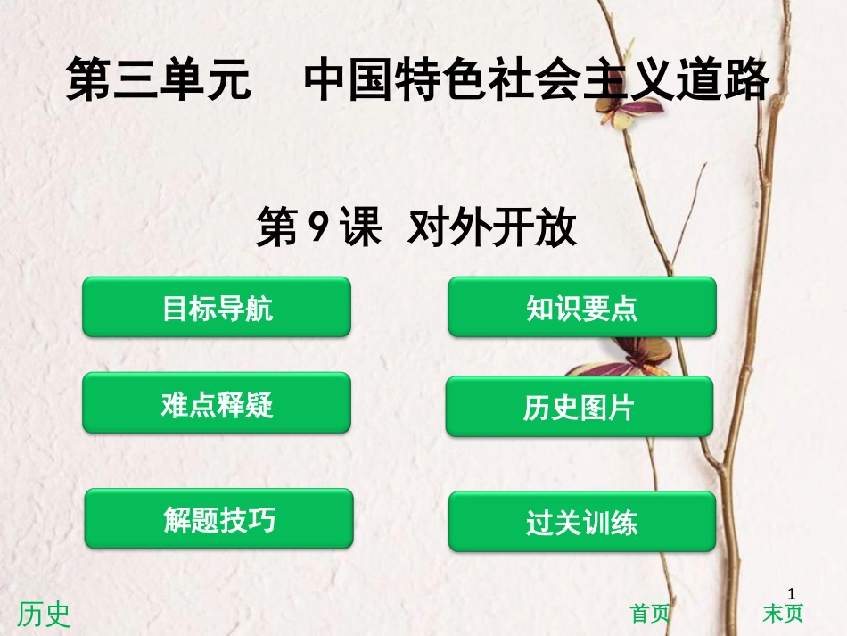 八年级历史下册 第三单元 中国特色社会主义道路 第9课 对外开放课件 新人教版[共34页]_第1页