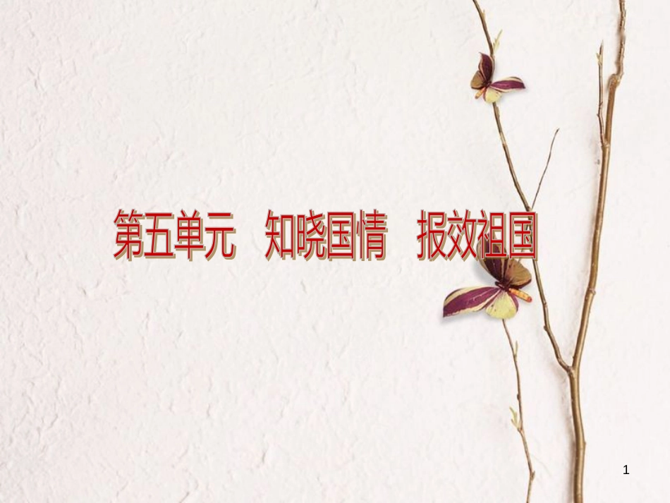 中考政治复习方案 第五单元 知晓国情 报效祖国 第13课时 基本国情 基本路线(对外开放)课件_第1页
