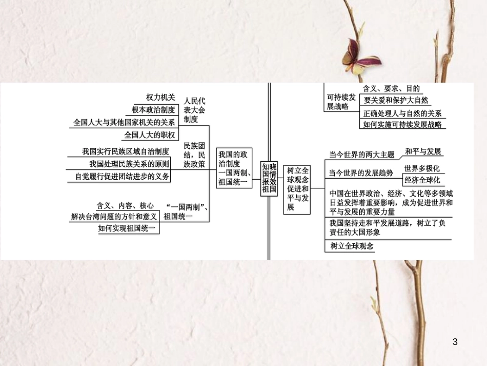 中考政治复习方案 第五单元 知晓国情 报效祖国 第13课时 基本国情 基本路线(对外开放)课件_第3页