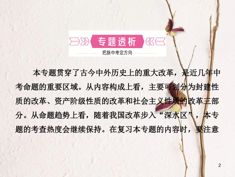 山东省德州市中考历史总复习 专题五 中外历史上的重大改革课件_第2页