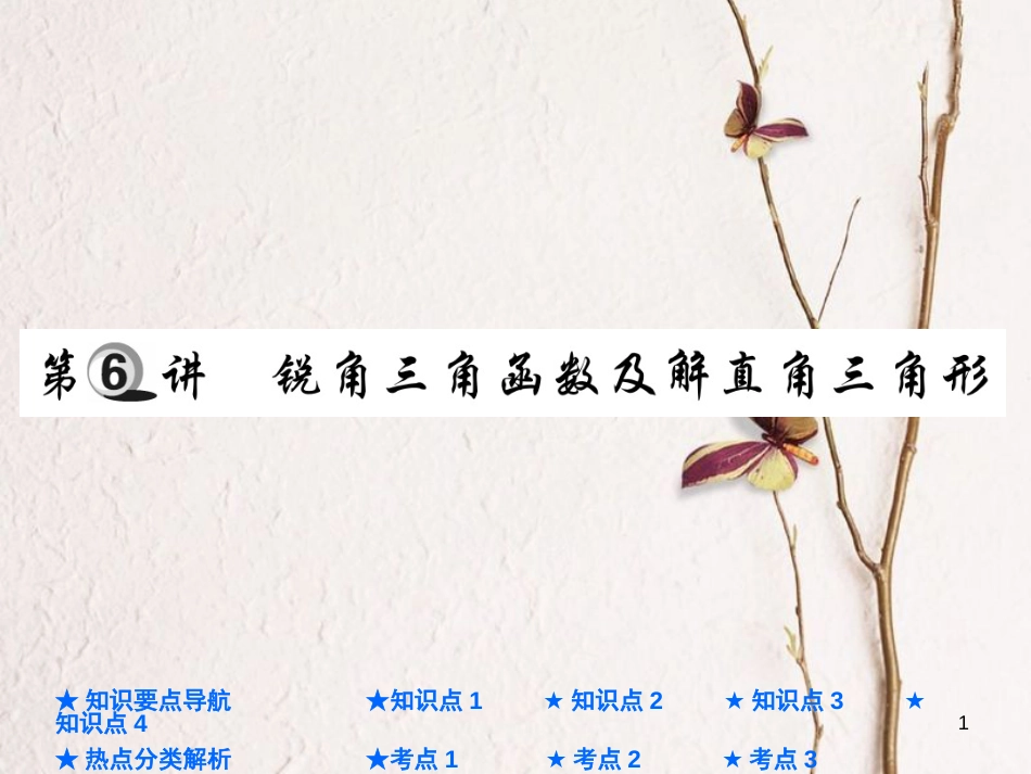 中考数学总复习 第一部分 基础知识复习 第4章 图形的认识及三角形 第6讲 锐角三角函数及解直角三角形课件_第1页
