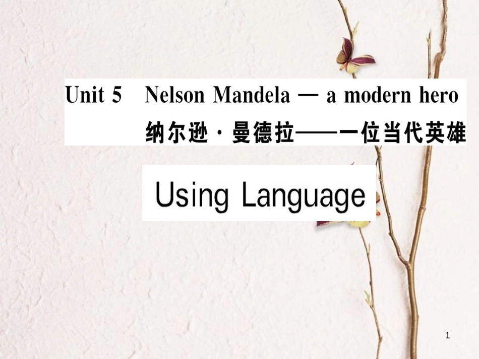 高中英语 Unit 5 Nelson Mandela-a modern hero Using Language课件 新人教版必修1_第1页