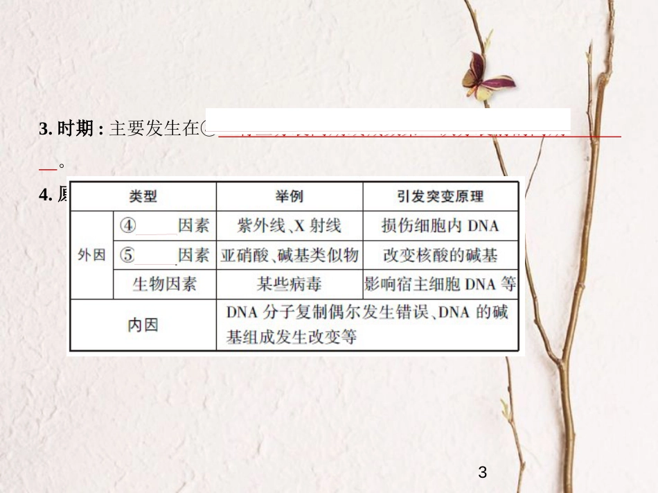 （新课标）2019版高考生物一轮复习 专题14 基因突变与基因重组课件_第3页