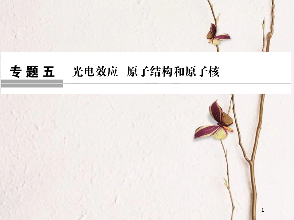 （全国通用）高考物理二轮复习 专题五 光电效应 原子结构和原子核课件_第1页
