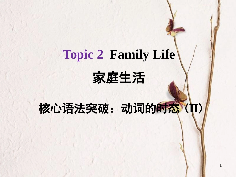 河北省中考英语总复习 Topic 2 Family Life 2 动词的时态（Ⅱ）课件_第1页