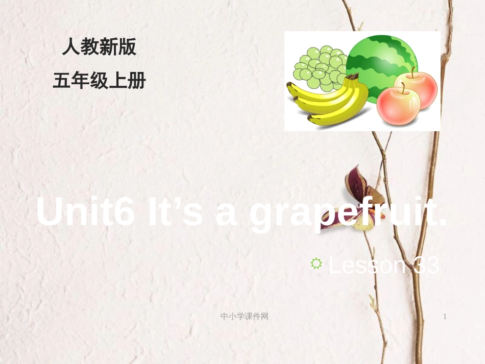 五年级英语上册 Unit 6 It’s a grapefruit（Lesson 33）教学课件 人教精通版_第1页