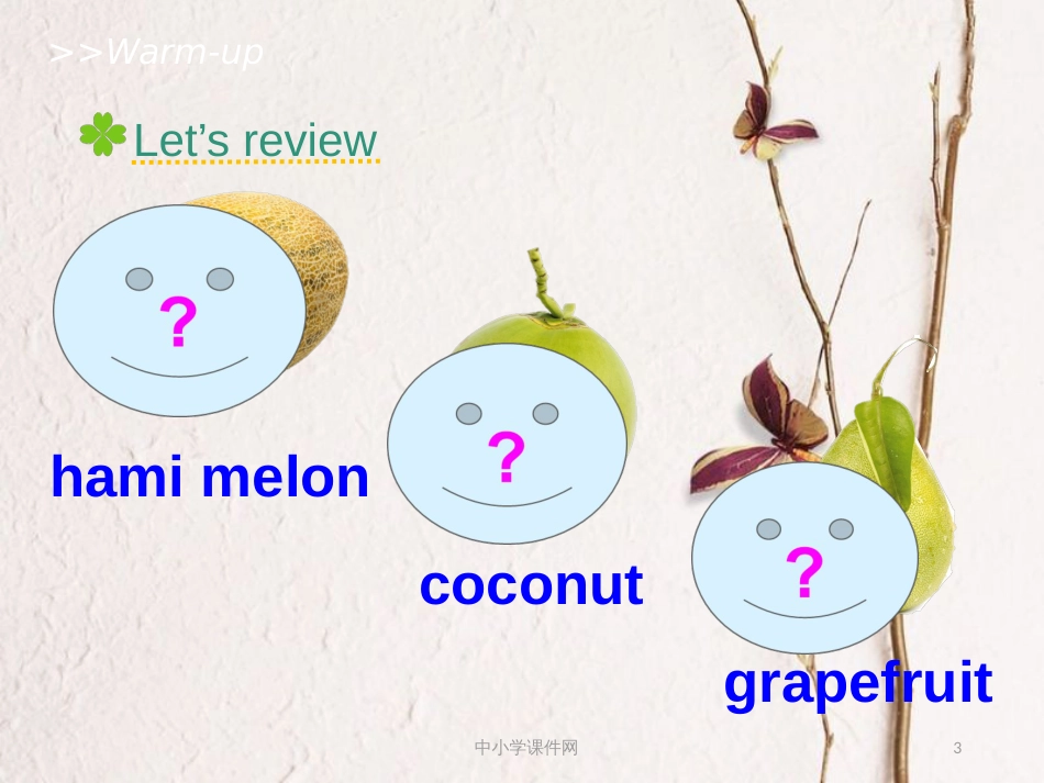 五年级英语上册 Unit 6 It’s a grapefruit（Lesson 33）教学课件 人教精通版_第3页