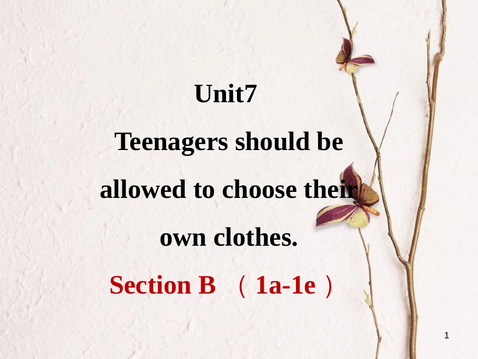 甘肃省武威市民勤县九年级英语全册 Unit 7 Teenagers should be allowed to choose their own clothes（第3课时）课件 （新版）人教新目标版_第1页