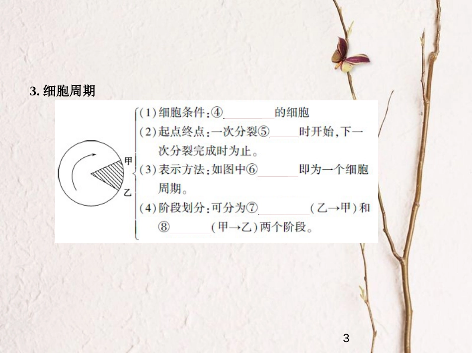 （新课标）2019版高考生物一轮复习 专题7 细胞的增殖课件_第3页