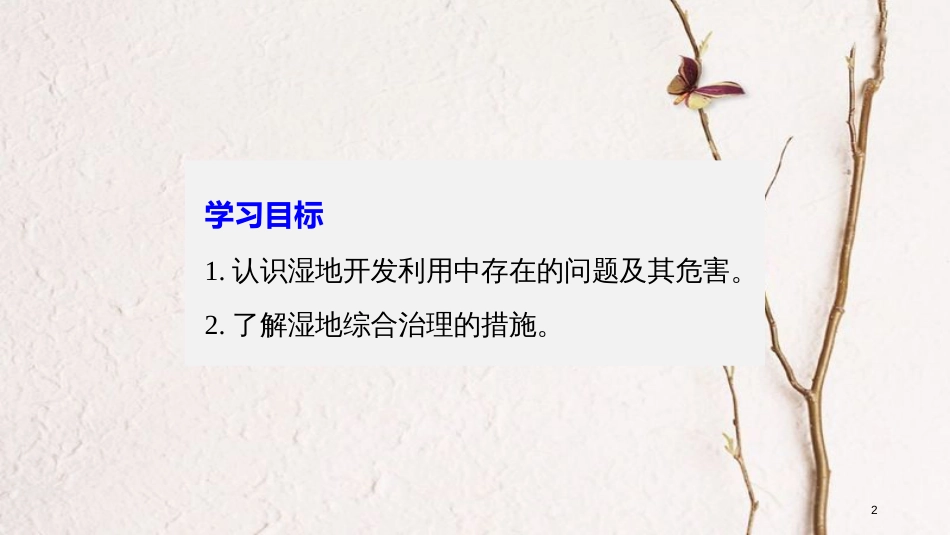 高中地理 第二章 区域可持续发展 第二节 湿地资源的开发与保护——以洞庭湖区为例（2）同步备课课件 湘教版必修3_第2页