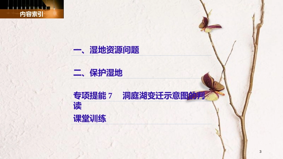 高中地理 第二章 区域可持续发展 第二节 湿地资源的开发与保护——以洞庭湖区为例（2）同步备课课件 湘教版必修3_第3页